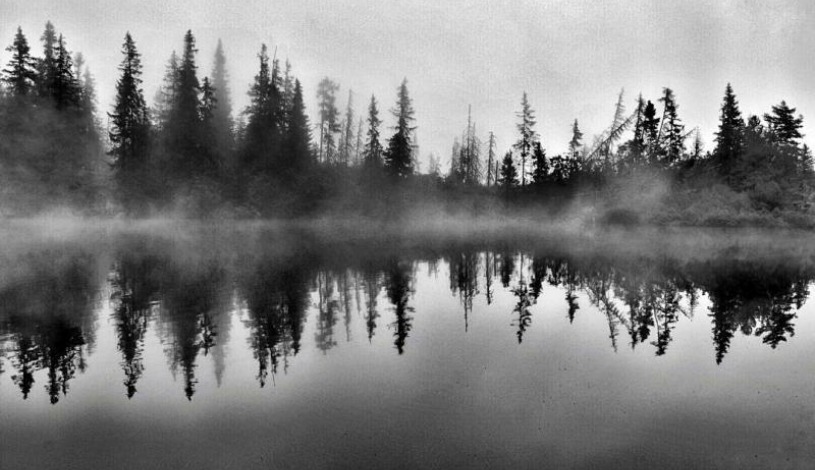 Hotel CROCUS **** Vysoké Tatry